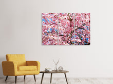 Laden Sie das Bild in den Galerie-Viewer, Leinwandbild 3-teilig Wundervolle Japanische Zierkirsche