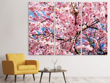 Laden Sie das Bild in den Galerie-Viewer, Leinwandbild 3-teilig Wundervolle Japanische Zierkirsche