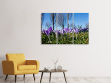 Laden Sie das Bild in den Galerie-Viewer, Leinwandbild 3-teilig Lila Krokus in der Natur