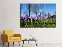 Laden Sie das Bild in den Galerie-Viewer, Leinwandbild 3-teilig Lila Krokus in der Natur