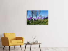 Laden Sie das Bild in den Galerie-Viewer, Leinwandbild 3-teilig Lila Krokus in der Natur