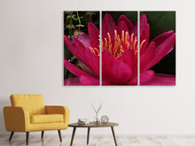 Laden Sie das Bild in den Galerie-Viewer, Leinwandbild 3-teilig Wundervolle Seerose