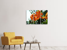 Laden Sie das Bild in den Galerie-Viewer, Leinwandbild 3-teilig Die wilden Tiger-Lilien