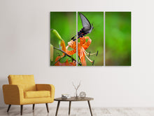 Laden Sie das Bild in den Galerie-Viewer, Leinwandbild 3-teilig Die Tiger-Lilie und der Schmetterling