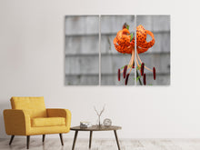 Laden Sie das Bild in den Galerie-Viewer, Leinwandbild 3-teilig Die Blüte der Tiger-Lilie