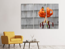 Laden Sie das Bild in den Galerie-Viewer, Leinwandbild 3-teilig Die Blüte der Tiger-Lilie