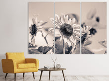 Laden Sie das Bild in den Galerie-Viewer, Leinwandbild 3-teilig Sonnenblumen sw