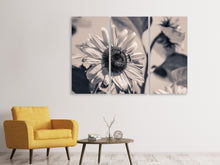 Laden Sie das Bild in den Galerie-Viewer, Leinwandbild 3-teilig Bienen auf der Sonnenblume sw