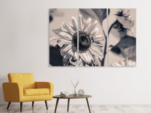 Laden Sie das Bild in den Galerie-Viewer, Leinwandbild 3-teilig Bienen auf der Sonnenblume sw