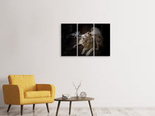 Laden Sie das Bild in den Galerie-Viewer, Leinwandbild 3-teilig Das Löwen Paar
