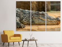Laden Sie das Bild in den Galerie-Viewer, Leinwandbild 3-teilig Das Nilkrokodil