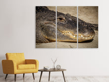 Laden Sie das Bild in den Galerie-Viewer, Leinwandbild 3-teilig Achtung Alligator !