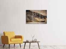 Laden Sie das Bild in den Galerie-Viewer, Leinwandbild 3-teilig Achtung Alligator !