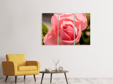 Laden Sie das Bild in den Galerie-Viewer, Leinwandbild 3-teilig Die Rose in rosa