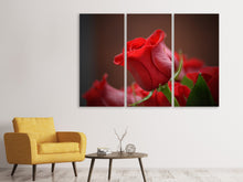 Laden Sie das Bild in den Galerie-Viewer, Leinwandbild 3-teilig Rote Rose in XL