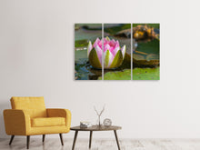 Laden Sie das Bild in den Galerie-Viewer, Leinwandbild 3-teilig XL Seerose in rosa