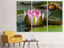 Laden Sie das Bild in den Galerie-Viewer, Leinwandbild 3-teilig XL Seerose in rosa
