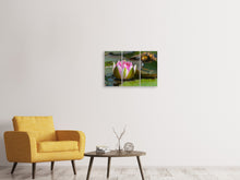 Laden Sie das Bild in den Galerie-Viewer, Leinwandbild 3-teilig XL Seerose in rosa