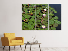 Laden Sie das Bild in den Galerie-Viewer, Leinwandbild 3-teilig Weisse Seerosen im Teich