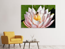 Laden Sie das Bild in den Galerie-Viewer, Leinwandbild 3-teilig Die Biene auf der Seerose