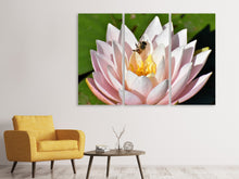 Laden Sie das Bild in den Galerie-Viewer, Leinwandbild 3-teilig Die Biene auf der Seerose