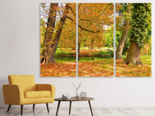 Laden Sie das Bild in den Galerie-Viewer, Leinwandbild 3-teilig Mitten unter Herbstbäumen