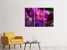Laden Sie das Bild in den Galerie-Viewer, Leinwandbild 3-teilig Der Rhododendron