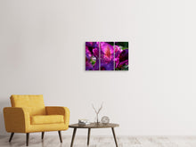 Laden Sie das Bild in den Galerie-Viewer, Leinwandbild 3-teilig Der Rhododendron