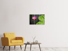 Laden Sie das Bild in den Galerie-Viewer, Leinwandbild 3-teilig Lotus Blüte in pink
