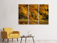 Laden Sie das Bild in den Galerie-Viewer, Leinwandbild 3-teilig Der prächtige Herbstbaum
