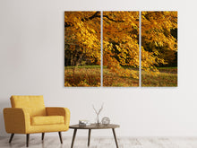 Laden Sie das Bild in den Galerie-Viewer, Leinwandbild 3-teilig Der prächtige Herbstbaum