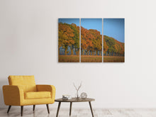 Laden Sie das Bild in den Galerie-Viewer, Leinwandbild 3-teilig Wunderschöner Herbst
