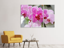 Laden Sie das Bild in den Galerie-Viewer, Leinwandbild 3-teilig Lila Orchideen in der Blüte