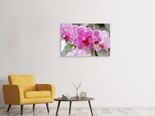 Laden Sie das Bild in den Galerie-Viewer, Leinwandbild 3-teilig Lila Orchideen in der Blüte