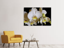 Laden Sie das Bild in den Galerie-Viewer, Leinwandbild 3-teilig Weisse Orchideen in der Blüte