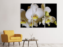 Laden Sie das Bild in den Galerie-Viewer, Leinwandbild 3-teilig Weisse Orchideen in der Blüte