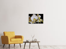 Laden Sie das Bild in den Galerie-Viewer, Leinwandbild 3-teilig Weisse Orchideen in der Blüte