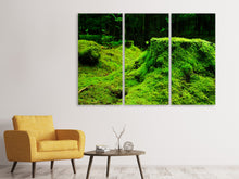 Laden Sie das Bild in den Galerie-Viewer, Leinwandbild 3-teilig Moos im Wald