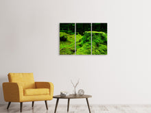 Laden Sie das Bild in den Galerie-Viewer, Leinwandbild 3-teilig Moos im Wald