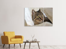 Laden Sie das Bild in den Galerie-Viewer, Leinwandbild 3-teilig Lieblings Katze