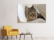 Laden Sie das Bild in den Galerie-Viewer, Leinwandbild 3-teilig Lieblings Katze