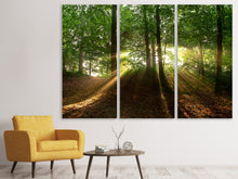 Laden Sie das Bild in den Galerie-Viewer, Leinwandbild 3-teilig Sonne im Wald
