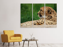 Laden Sie das Bild in den Galerie-Viewer, Leinwandbild 3-teilig XL Gepard