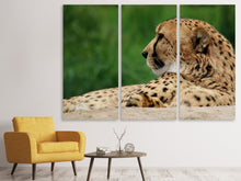 Laden Sie das Bild in den Galerie-Viewer, Leinwandbild 3-teilig XL Gepard