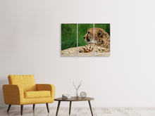 Laden Sie das Bild in den Galerie-Viewer, Leinwandbild 3-teilig XL Gepard