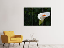Laden Sie das Bild in den Galerie-Viewer, Leinwandbild 3-teilig XL Calla in weiss
