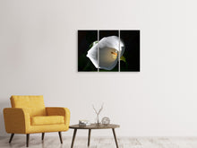 Laden Sie das Bild in den Galerie-Viewer, Leinwandbild 3-teilig Wundervolle Calla