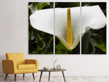 Laden Sie das Bild in den Galerie-Viewer, Leinwandbild 3-teilig Makro Calla in weiss