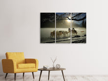 Laden Sie das Bild in den Galerie-Viewer, Leinwandbild 3-teilig Huskys