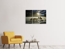 Laden Sie das Bild in den Galerie-Viewer, Leinwandbild 3-teilig Huskys